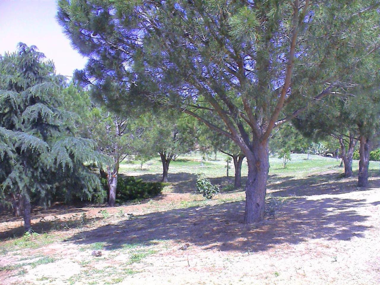 לינה וארוחת בוקר קטנזארו Borgo Piazza מראה חיצוני תמונה